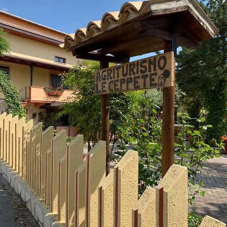 Le Ceppete Apartman Palombaro Kültér fotó