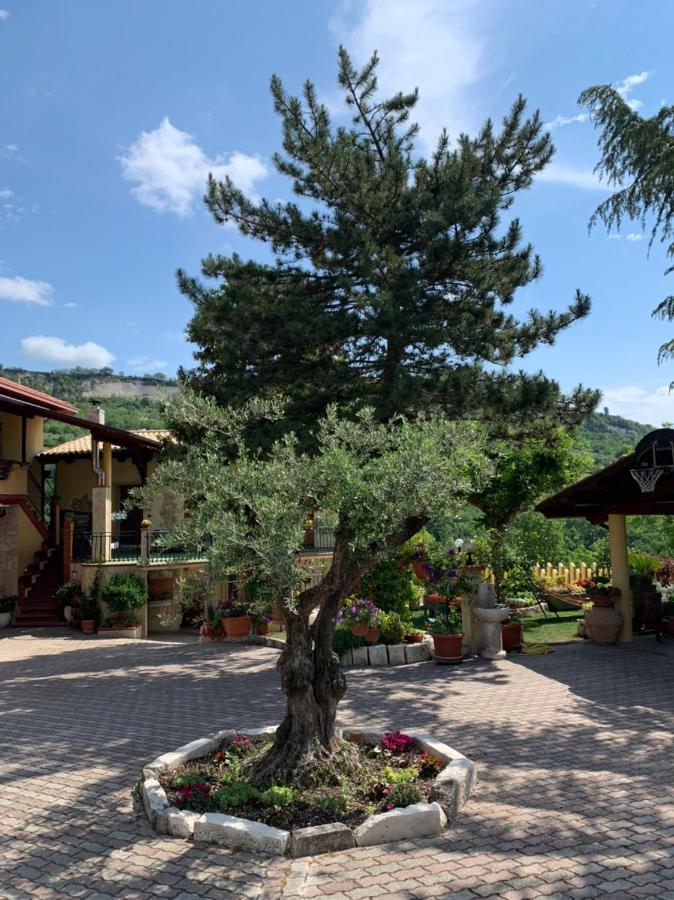 Le Ceppete Apartman Palombaro Kültér fotó